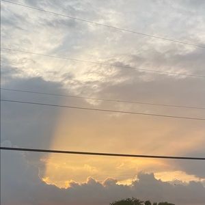 Meet your Posher, Delaney